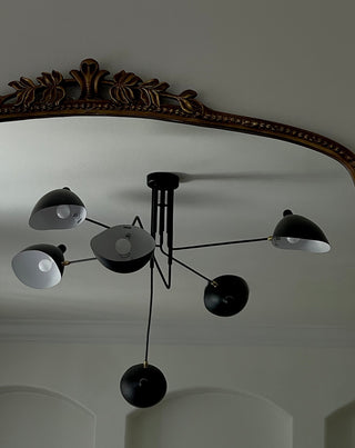 6 ARM LIGHT FIXTURE